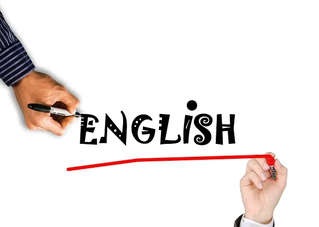 Cómo elegir el curso de español ideal para tus necesidades