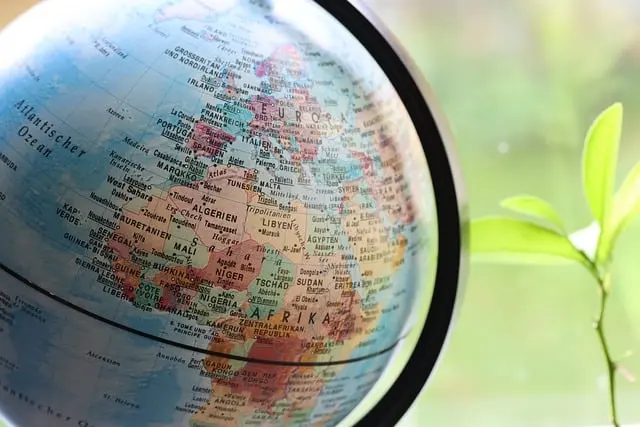 Cómo elegir un curso de español para tus necesidades específicas
