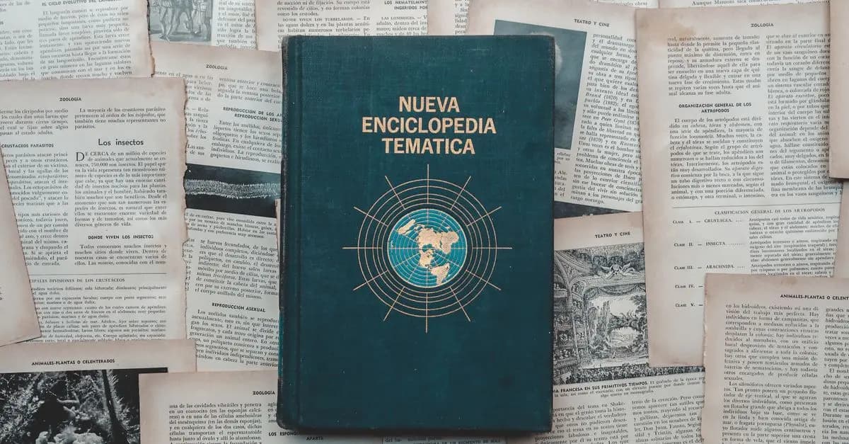 Cómo aprovechar al máximo tus cursos de español