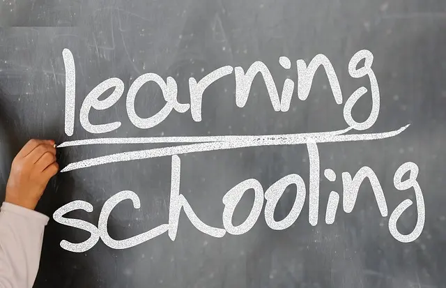Cómo elegir un curso de español online que se adapte a tus necesidades