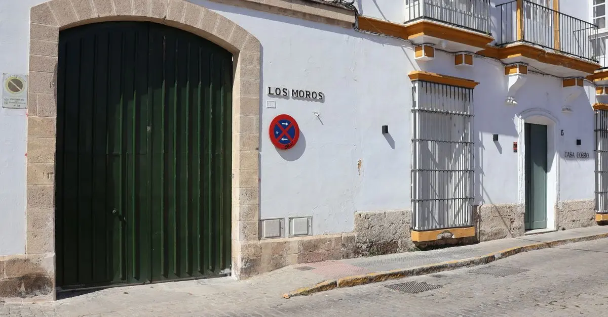 Cómo elegir un curso de español online que se adapte a tus necesidades